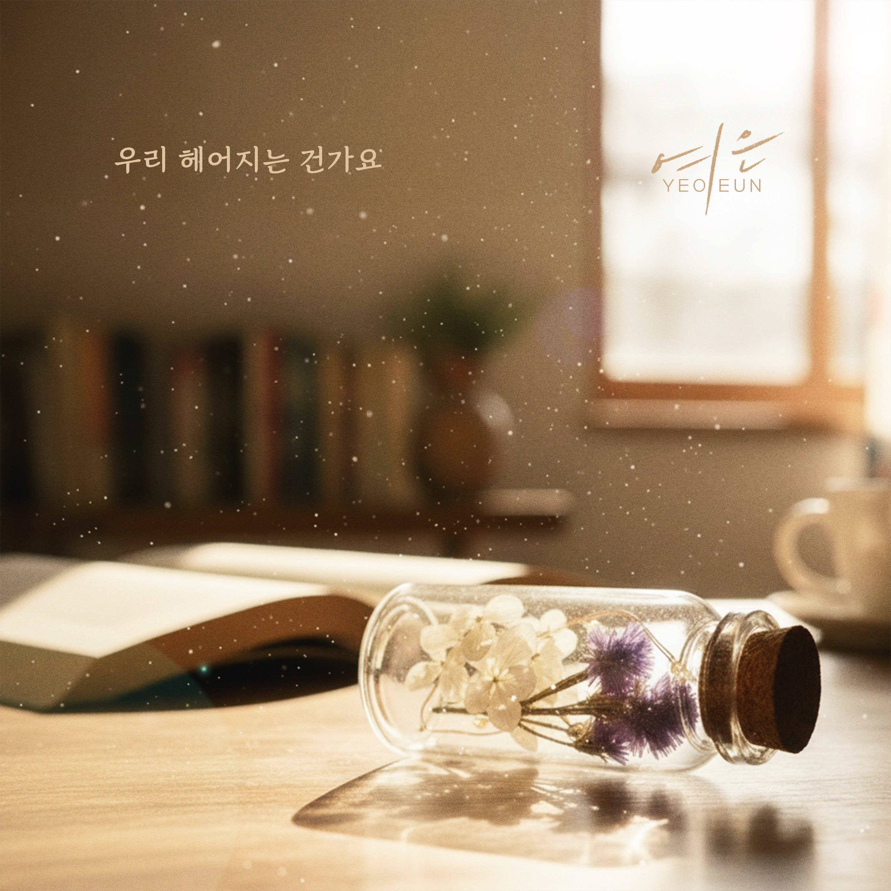 Image Cover